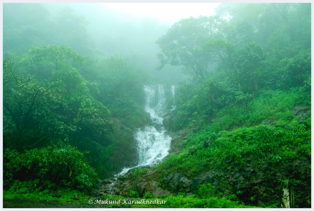 This image has an empty alt attribute; its file name is rr037a1882.jpg