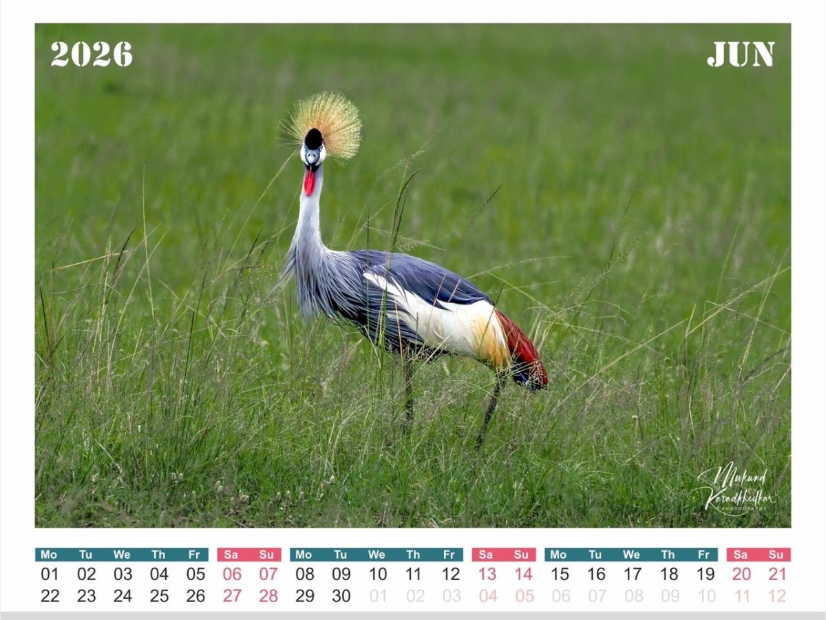 Desk Calendar –&nbsp;2026