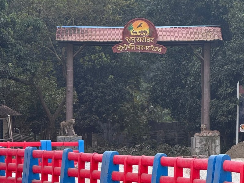 Picturesque Friday – Pilibhit Tiger&nbsp;Reserve